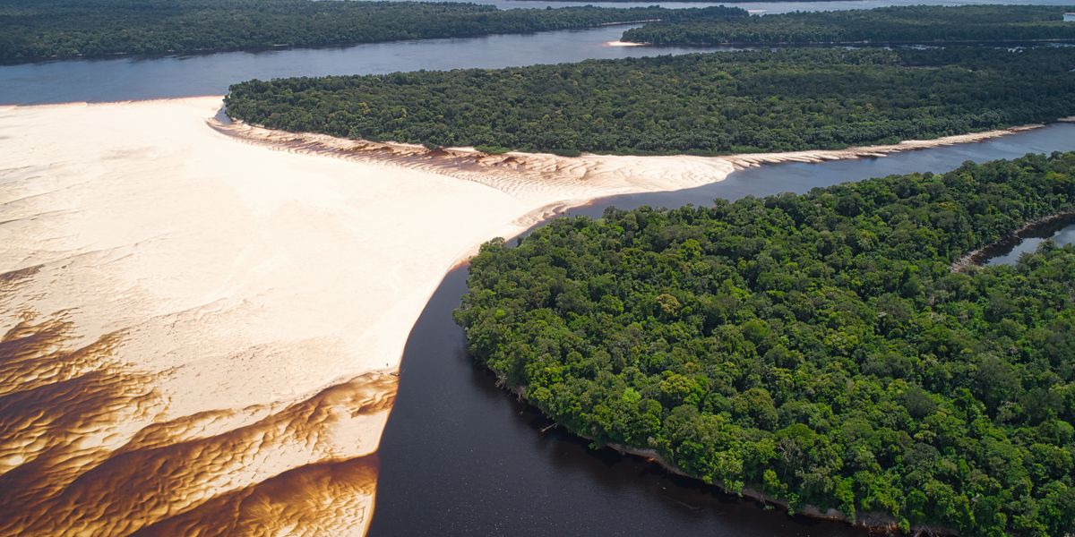 Aerial view of a winding Amazon river dividing sandbanks and dense green forest