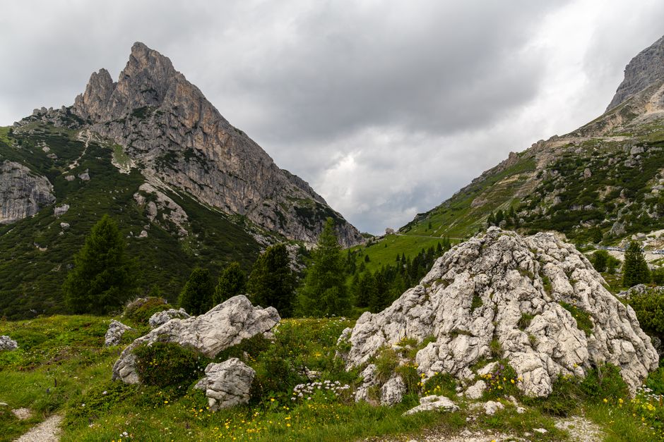 Explore the rugged beauty of the Dolomites, featuring rocky peaks and lush greenery.